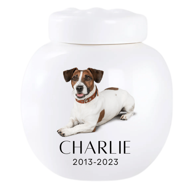 Urne funéraire pour chien personnalisée en céramique avec photo – Urne funéraire pour animal avec nom & dates