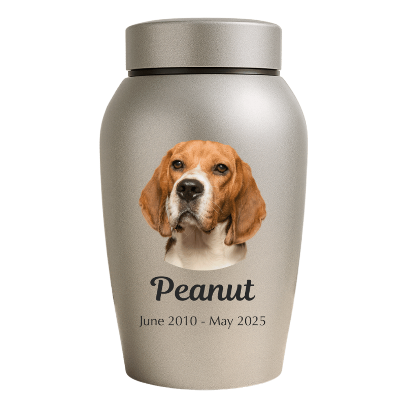Urne pour chien en acier inoxydable personnalisée avec nom, dates & photo