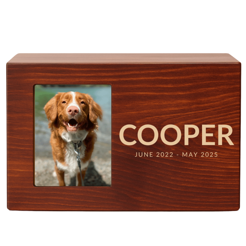 Urne funéraire pour chien en bois personnalisée avec photo – Coffret souvenir pour cendres avec nom & dates