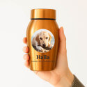 Urne pour chien en acier inoxydable personnalisée avec nom, dates & photo dans un cadre halo