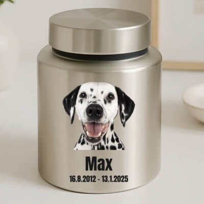 Urne cylindrique pour chien en acier inoxydable...