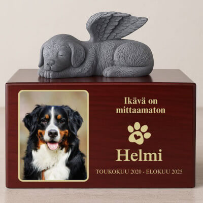 Urne funéraire pour chien en bois...