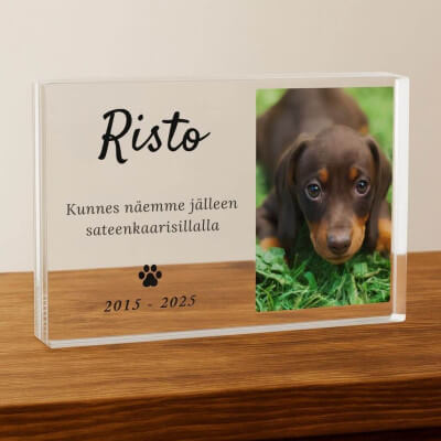 Plaque commémorative chien personnalisée –...