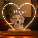 Cadre photo commémoratif lumineux chien personnalisé – Plaque en acrylique cœur éclairage LED avec nom & dates gravés