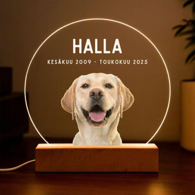 Cadre photo commémoratif lumineux cœur...