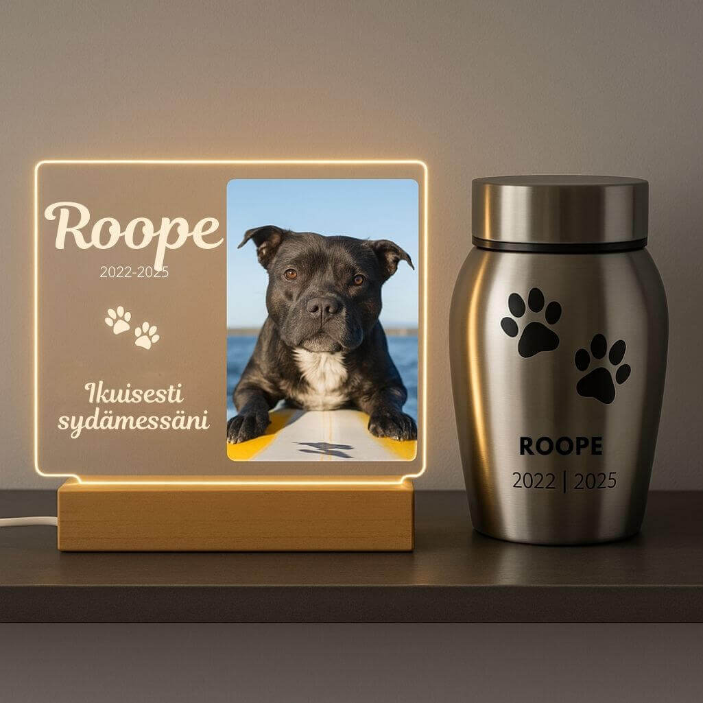 Lampe cadre photo chien personnalisé – Plaque commémorative rectangulaire en acrylique avec LED avec nom, dates & message gravés